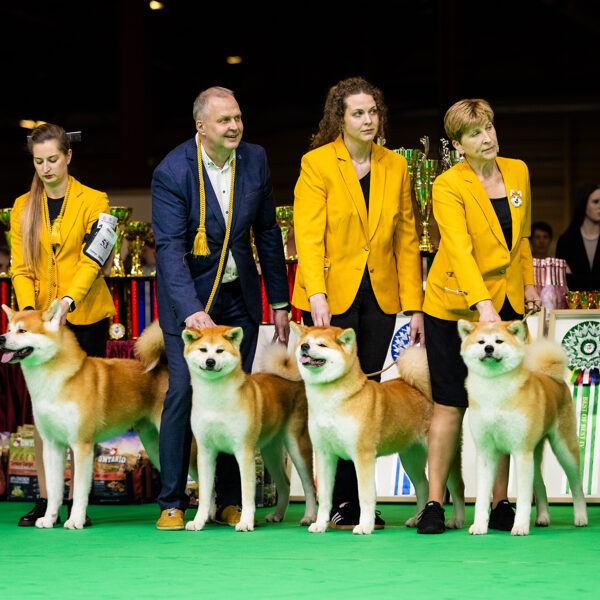 Baltijas uzvarētājs 2025