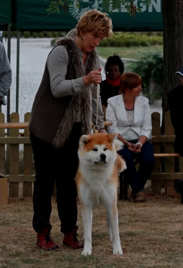Yogis Akita Cap Polija