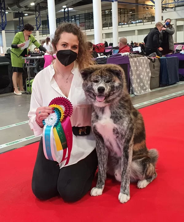 Akita Maru ar Anci