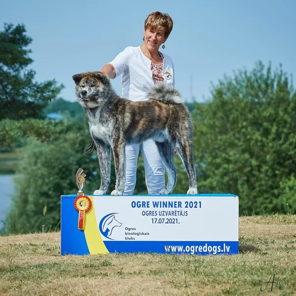 Akita Maru uzvarētājs